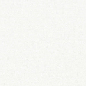 Quagmire 1 Bleach by Sunbrella Designer Fabric