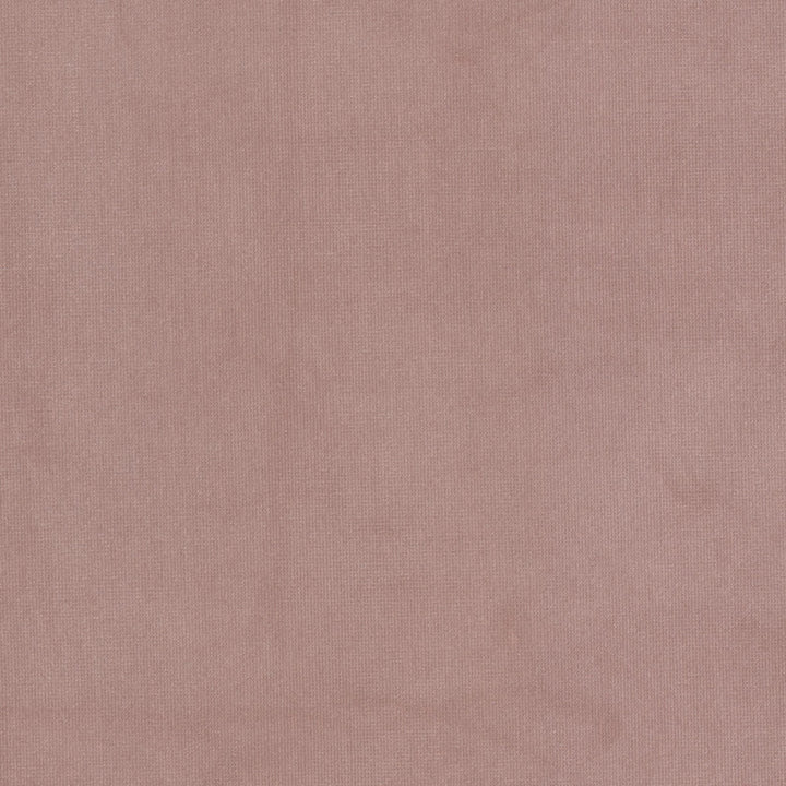 Queen 16 Camelia by Stout Fabric Stout Fabric Queen 16 CameliaFabric SOLID VELVETS PLUSH PALETTE 95%POL 5%COT CHINA </p><p>Repeat: H: 0.000, V: 0.000 54 in - Fabric Carolina -