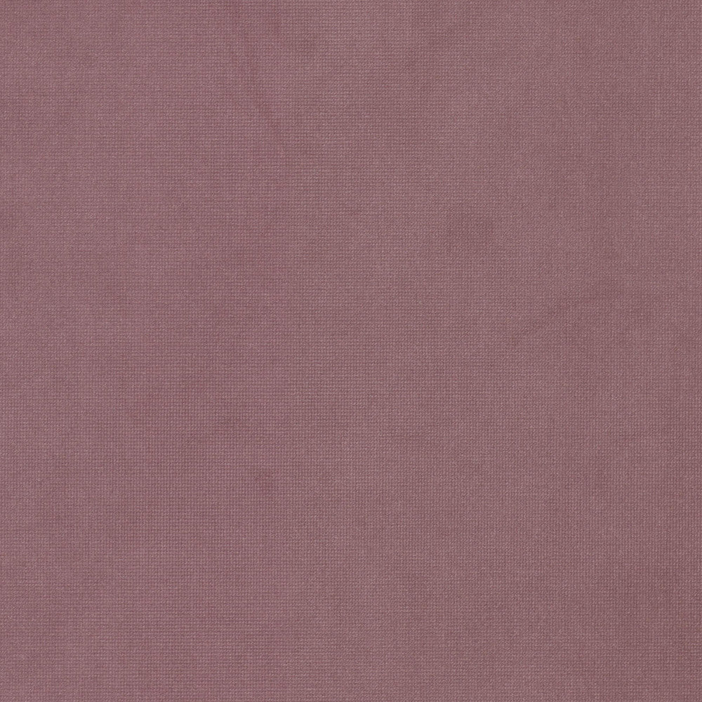 Queen 17 Fuchsia by Stout Fabric Stout Fabric Queen 17 FuchsiaFabric SOLID VELVETS PLUSH PALETTE 95%POL 5%COT CHINA </p><p>Repeat: H: 0.000, V: 0.000 54 in - Fabric Carolina -