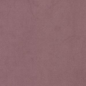 Queen 17 Fuchsia by Stout Designer Fabric