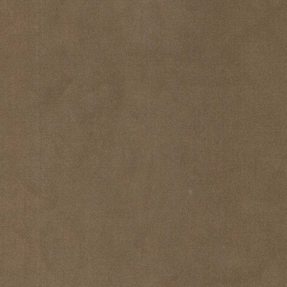 Queen 1 Lion by Stout Fabric Stout Fabric Queen 1 LionFabric SOLID VELVETS PLUSH PALETTE 95%POL 5%COT CHINA </p><p>Repeat: H: 0.000, V: 0.000 54 in - Fabric Carolina -