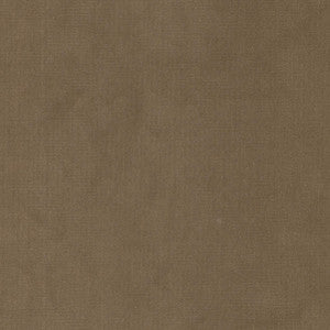Queen 1 Lion by Stout Designer Fabric