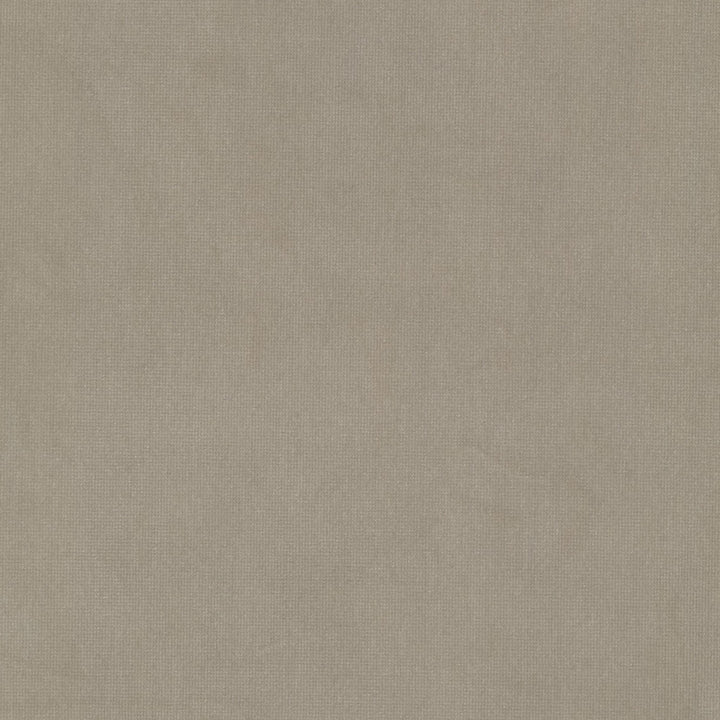 Queen 23 Beige by Stout Fabric Stout Fabric Queen 23 BeigeFabric SOLID VELVETS PLUSH PALETTE 95%POL 5%COT CHINA </p><p>Repeat: H: 0.000, V: 0.000 54 in - Fabric Carolina -
