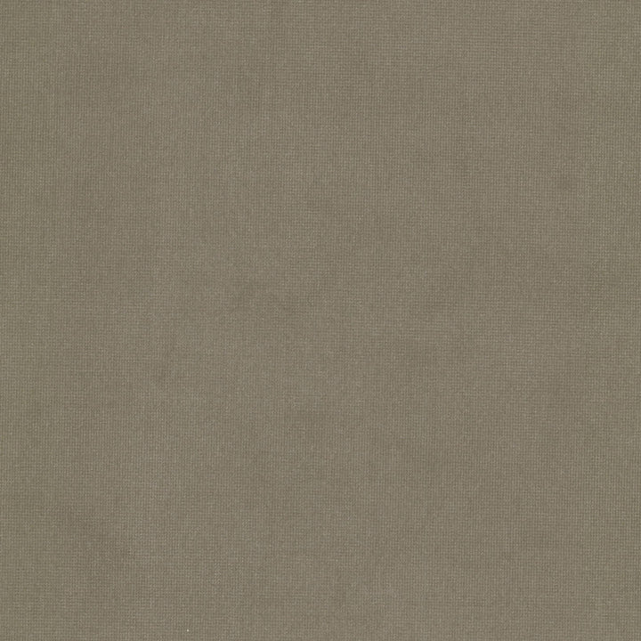Queen 25 Sandstone by Stout Fabric Stout Fabric Queen 25 SandstoneFabric SOLID VELVETS PLUSH PALETTE 95%POL 5%COT CHINA </p><p>Repeat: H: 0.000, V: 0.000 54 in - Fabric Carolina -