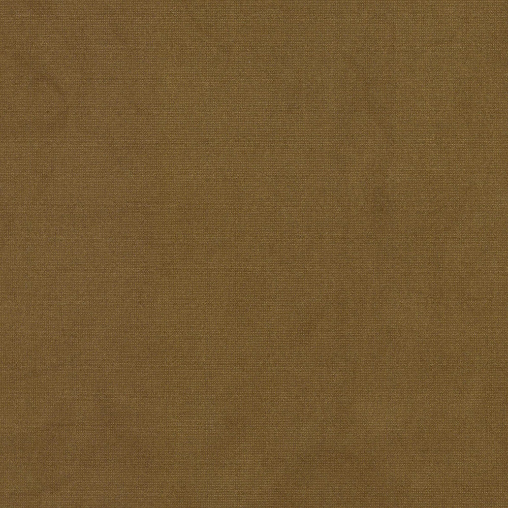 Queen 27 Dijon by Stout Fabric Stout Fabric Queen 27 DijonFabric SOLID VELVETS PLUSH PALETTE 95%POL 5%COT CHINA </p><p>Repeat: H: 0.000, V: 0.000 54 in - Fabric Carolina -