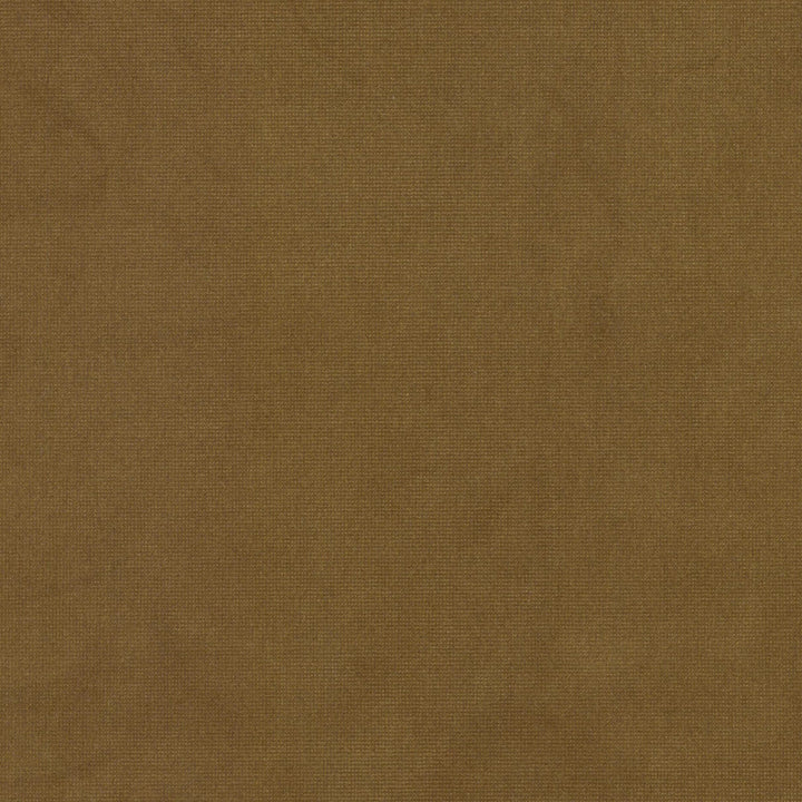 Queen 27 Dijon by Stout Fabric Stout Fabric Queen 27 DijonFabric SOLID VELVETS PLUSH PALETTE 95%POL 5%COT CHINA </p><p>Repeat: H: 0.000, V: 0.000 54 in - Fabric Carolina -