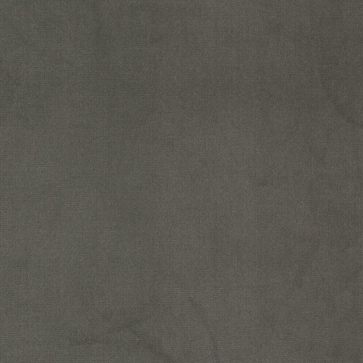 Queen 3 Shadow by Stout Fabric Stout Fabric Queen 3 ShadowFabric SOLID VELVETS PLUSH PALETTE 95%POL 5%COT CHINA </p><p>Repeat: H: 0.000, V: 0.000 54 in - Fabric Carolina -
