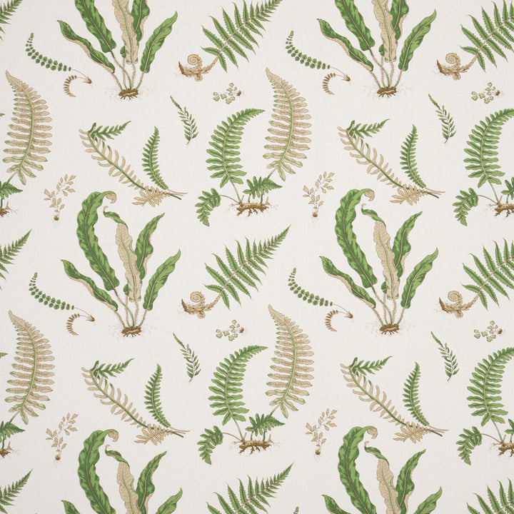 Ferns Linen Stone/Green by G P & J Baker Fabric G P & J Baker Fabric Ferns Linen Stone/GreenFabric PERENNIA LINEN - 60%;COTTON - 20%;VISCOSE - 20% United Kingdom </p><p>Repeat: H: 26.989, V: 24.822 53.978 - Fabric Carolina -