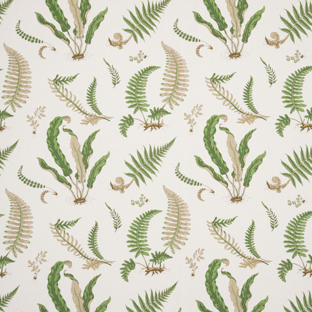 Ferns - Linen Stone/Green by G P & J Baker Designer Fabric PERENNIA LINEN - 60%;COTTON - 20%;VISCOSE - 20% United Kingdom - Horizontal: 26.989 and Vertical: 24.822 53.978 - Swanky Fabrics -