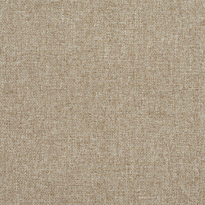 R134 Dove by Charlotte Designer Fabric Ring Book Page #24B 100% Woven Polyester Asia Exceeds 70,000 Wyzenbeek Rubs (Heavy Duty) </p><p>Repeat: 54 Inches - Swanky Fabrics -