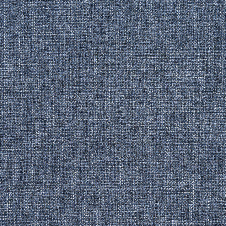 R135 Dresden by Charlotte Designer Fabric Ring Book Page #24B 100% Woven Polyester Asia Exceeds 70,000 Wyzenbeek Rubs (Heavy Duty) No Repeat 54 Inches - Swanky Fabrics -
