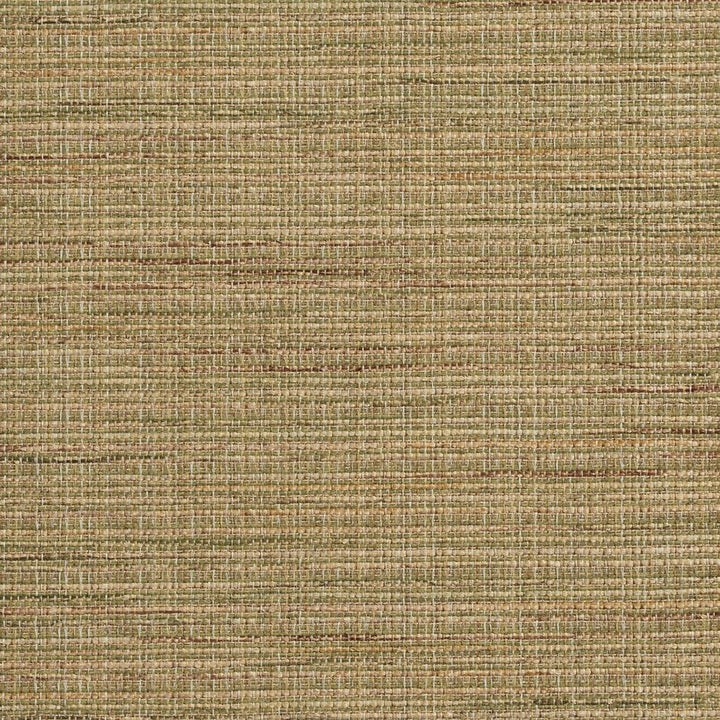 R150 Rosemary by Charlotte Designer Fabric Ring Book Page #23B 86% Polyester, 14% Acrylic Made In USA Exceeds 75,000 Wyzenbeek Rubs (Heavy Duty) No Repeat 54 Inches - Swanky Fabrics -
