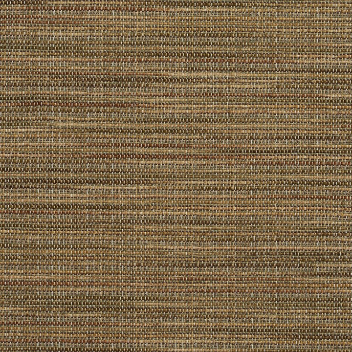 R152 Basil by Charlotte Designer Fabric Ring Book Page #23B 86% Polyester, 14% Acrylic Made In USA Exceeds 75,000 Wyzenbeek Rubs (Heavy Duty) No Repeat 54 Inches - Swanky Fabrics -