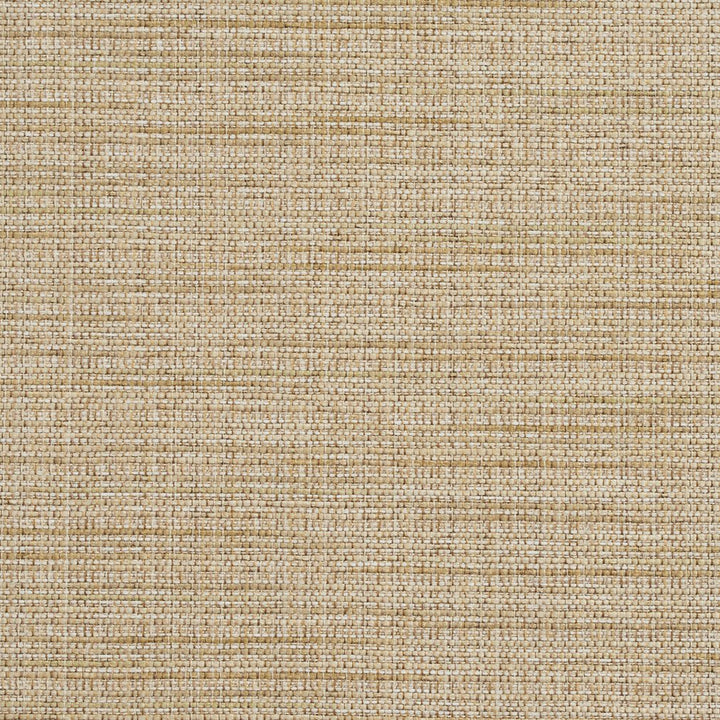 R154 Sesame by Charlotte Designer Fabric Ring Book Page #23B 86% Polyester, 14% Acrylic Made In USA Exceeds 75,000 Wyzenbeek Rubs (Heavy Duty) No Repeat 54 Inches - Swanky Fabrics -