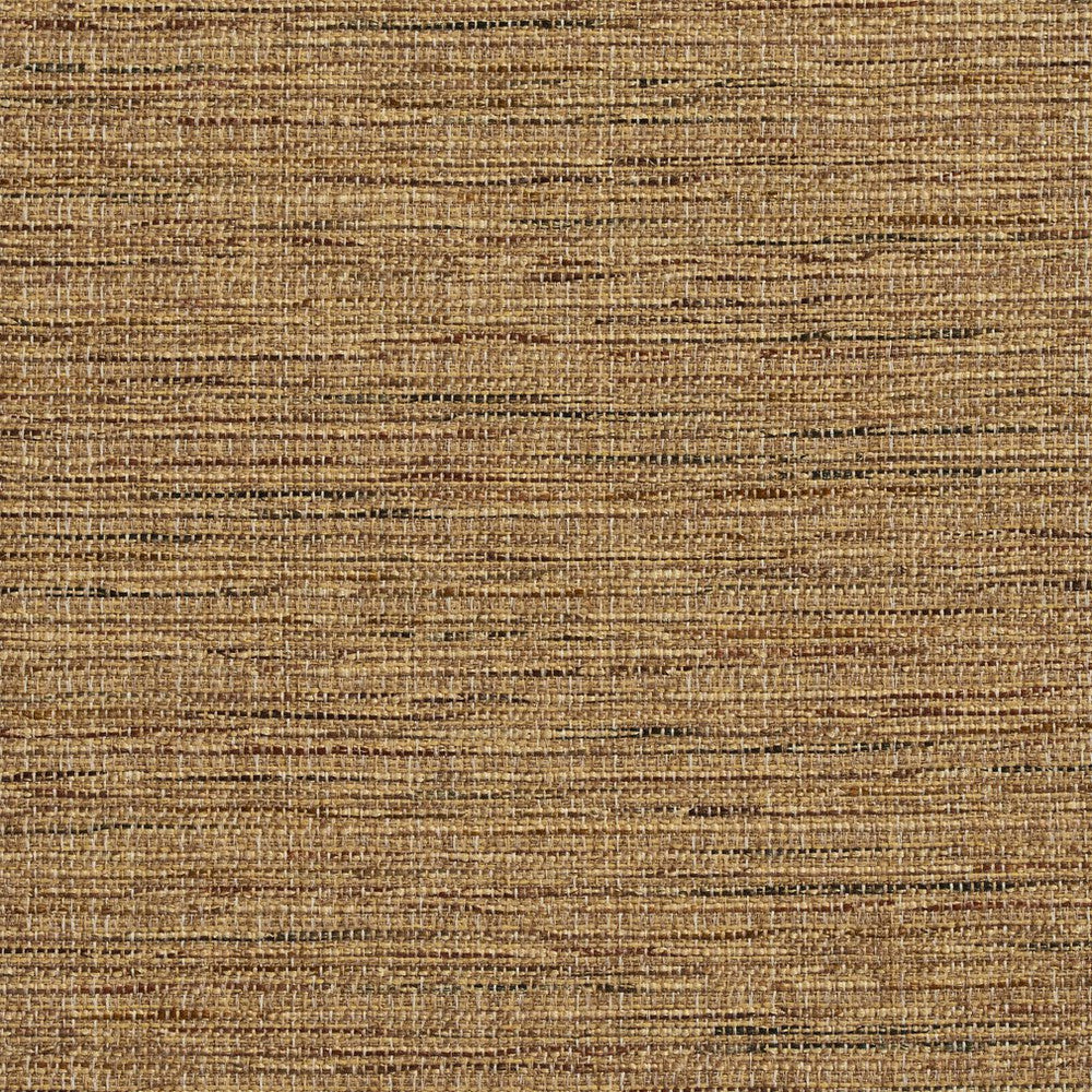 R155 Harvest by Charlotte Designer Fabric Ring Book Page #23B 86% Polyester, 14% Acrylic Made In USA Exceeds 75,000 Wyzenbeek Rubs (Heavy Duty) </p><p>Repeat: 54 Inches - Swanky Fabrics -