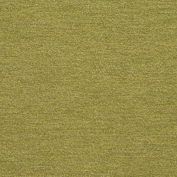 R171 Spring by Charlotte Designer Fabric Ring Book Page #22B 100% Woven Polyester Asia Exceeds 100,000 Wyzenbeek Rubs (Heavy Duty) No Repeat 54 Inches - Swanky Fabrics -