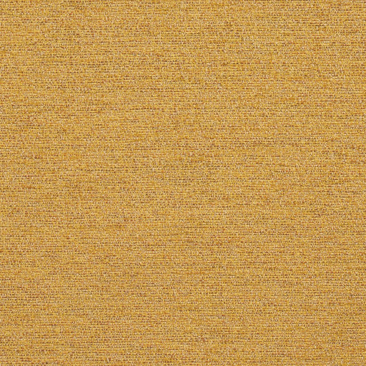 R172 Saffron by Charlotte Designer Fabric Ring Book Page #22B 100% Woven Polyester Asia Exceeds 100,000 Wyzenbeek Rubs (Heavy Duty) </p><p>Repeat: 54 Inches - Swanky Fabrics -