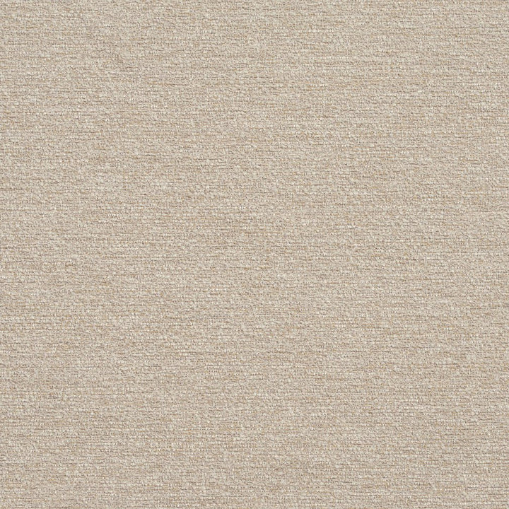 R178 Stucco by Charlotte Designer Fabric Ring Book Page #22B 100% Woven Polyester Asia Exceeds 100,000 Wyzenbeek Rubs (Heavy Duty) No Repeat 54 Inches - Swanky Fabrics -