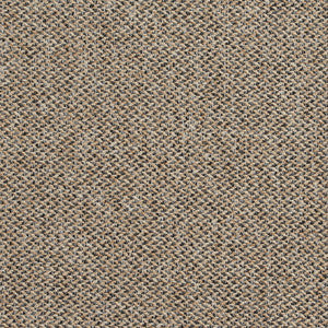 R251 Lexington by Charlotte Designer Fabric