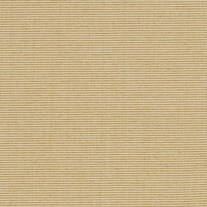 R261 Sand by Charlotte Designer Fabric Ringbook Page #13b 51% Cotton, 30% Polyester, 19% Rayon Asia Exceeds 120,000 Wyzenbeek Rubs (Heavy Duty) No Repeat 54 Inches - Swanky Fabrics -