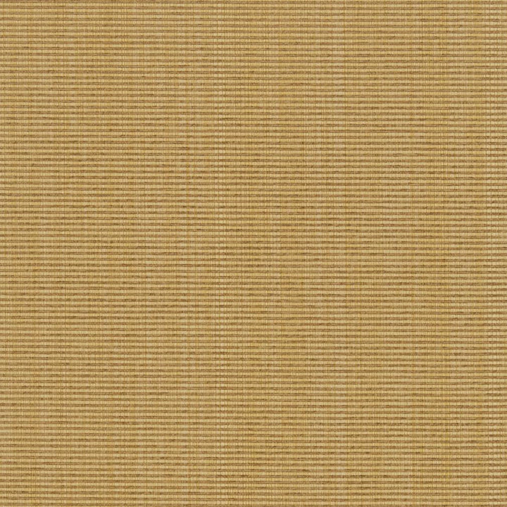 R263 Wheat by Charlotte Designer Fabric Ringbook Page #13b 51% Cotton, 30% Polyester, 19% Rayon Asia Exceeds 120,000 Wyzenbeek Rubs (Heavy Duty) </p><p>Repeat: 54 Inches - Swanky Fabrics -