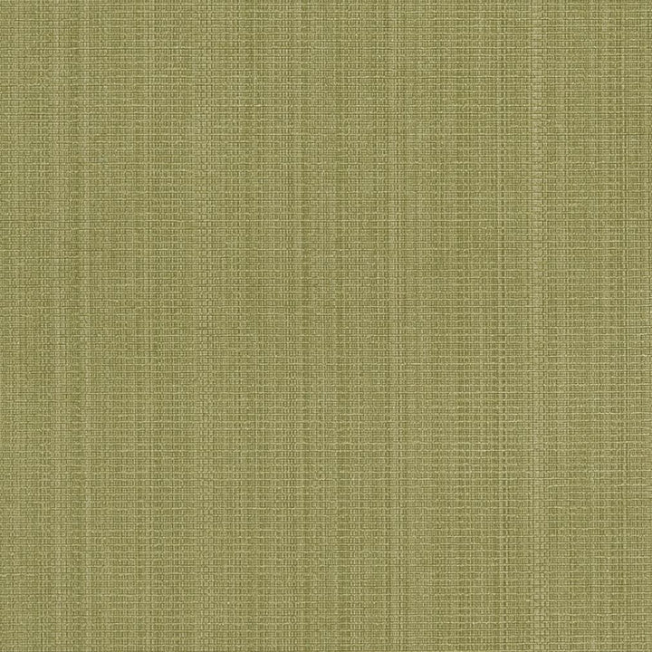 R264 Sage by Charlotte Designer Fabric Ringbook Page #13b 51% Cotton, 30% Polyester, 19% Rayon Asia Exceeds 120,000 Wyzenbeek Rubs (Heavy Duty) No Repeat 54 Inches - Swanky Fabrics -
