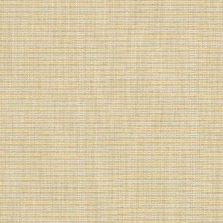 R265 Cream by Charlotte Designer Fabric Ringbook Page #13b 51% Cotton, 30% Polyester, 19% Rayon Asia Exceeds 120,000 Wyzenbeek Rubs (Heavy Duty) No Repeat 54 Inches - Swanky Fabrics -