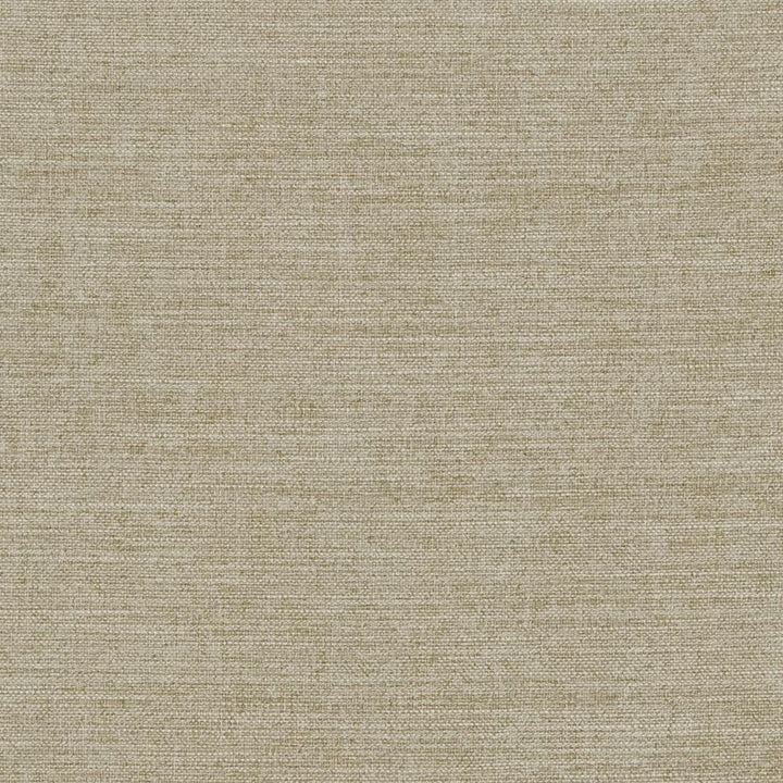 R283 Fawn by Charlotte Designer Fabric Ringbook Page #14b 100% Woven Polyester Asia Exceeds 120,000 Wyzenbeek Rubs (Heavy Duty) No Repeat 54 Inches - Swanky Fabrics -