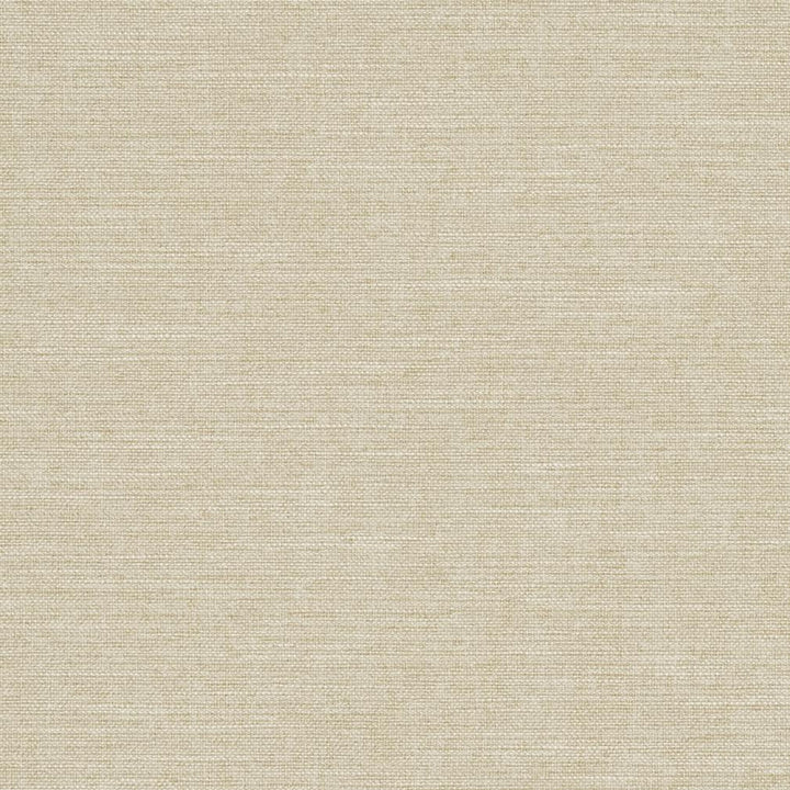 R285 Sand by Charlotte Designer Fabric Ringbook Page #14b 100% Woven Polyester Asia Exceeds 120,000 Wyzenbeek Rubs (Heavy Duty) </p><p>Repeat: 54 Inches - Swanky Fabrics -