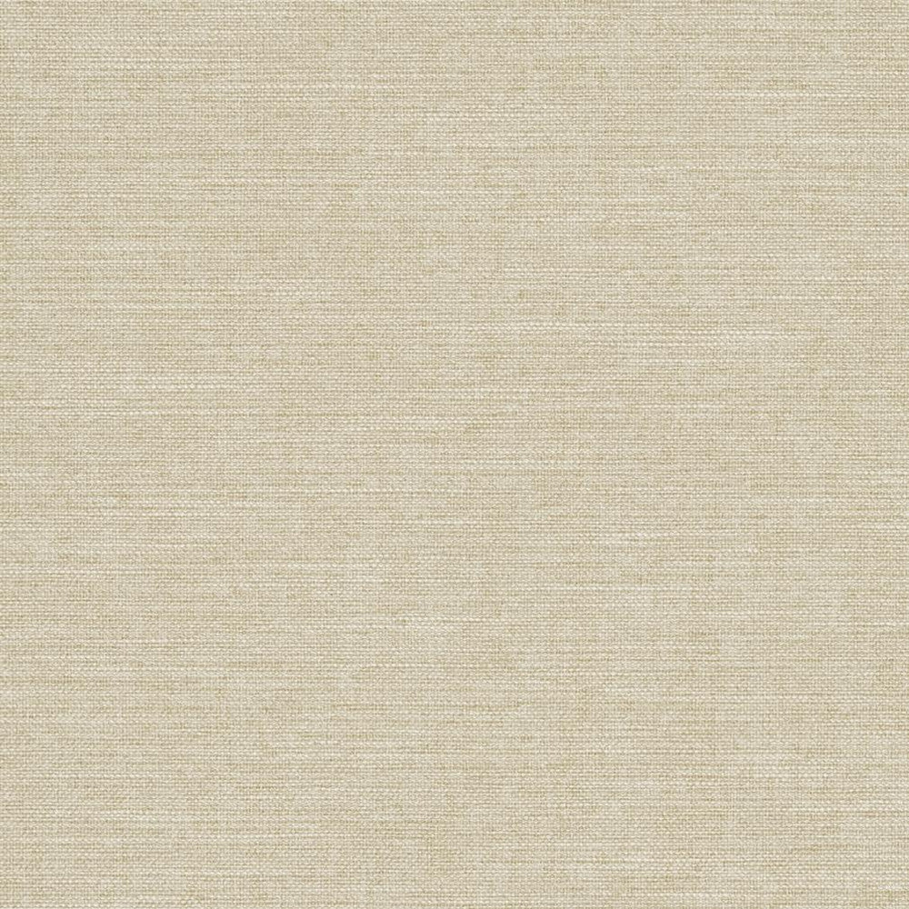 R285 Sand by Charlotte Designer Fabric Ringbook Page #14b 100% Woven Polyester Asia Exceeds 120,000 Wyzenbeek Rubs (Heavy Duty) No Repeat 54 Inches - Swanky Fabrics -
