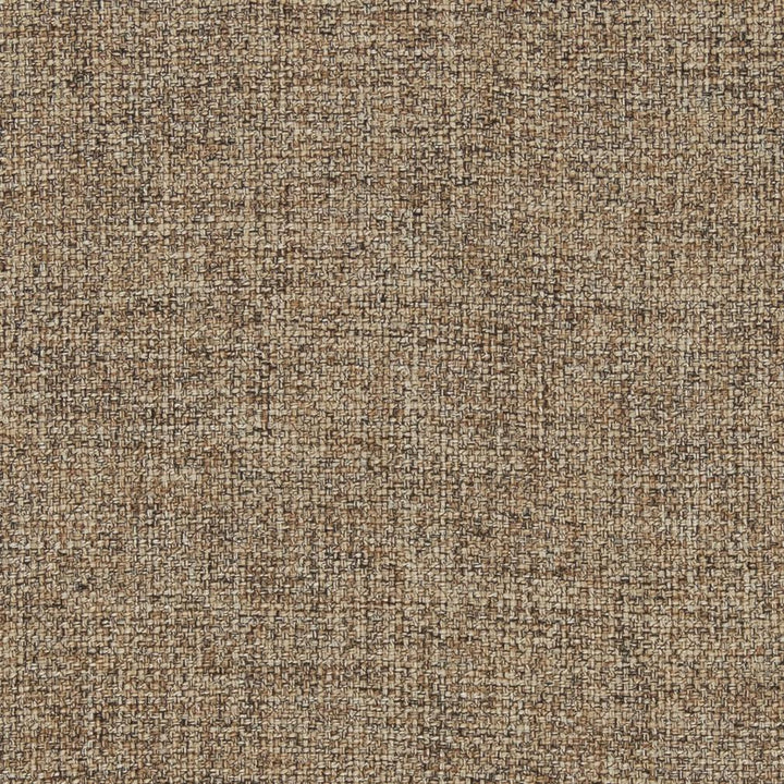 R300 Coffee by Charlotte Designer Fabric Ringbook Page #16b 100% Woven Polyester Asia Exceeds 140,000 Wyzenbeek Rubs (Heavy Duty) No Repeat 54 Inches - Swanky Fabrics -