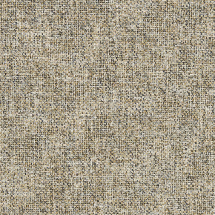 R303 Mink by Charlotte Designer Fabric Ringbook Page #16b 100% Woven Polyester Asia Exceeds 140,000 Wyzenbeek Rubs (Heavy Duty) No Repeat 54 Inches - Swanky Fabrics -