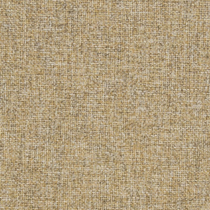 R306 Cornsilk by Charlotte Designer Fabric Ringbook Page #16b 100% Woven Polyester Asia Exceeds 140,000 Wyzenbeek Rubs (Heavy Duty) No Repeat 54 Inches - Swanky Fabrics -