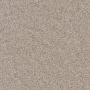 R342 Flannel by Charlotte Designer Fabric