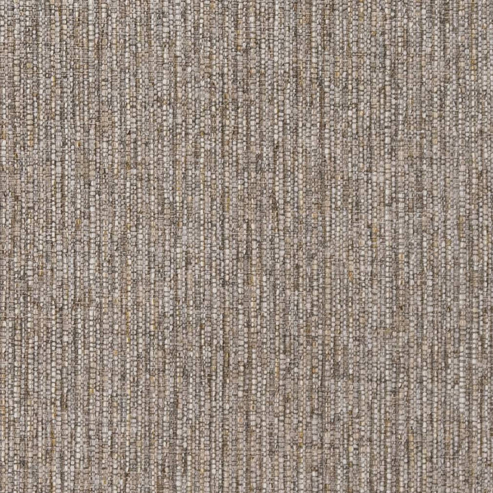 R351 Sage by Charlotte Designer Fabric Ringpage 10b 100% Woven Polypropylene Made In USA Exceeds 30,000 Wyzenbeek Rubs (Heavy Duty) No Repeat 54 Inches - Swanky Fabrics -