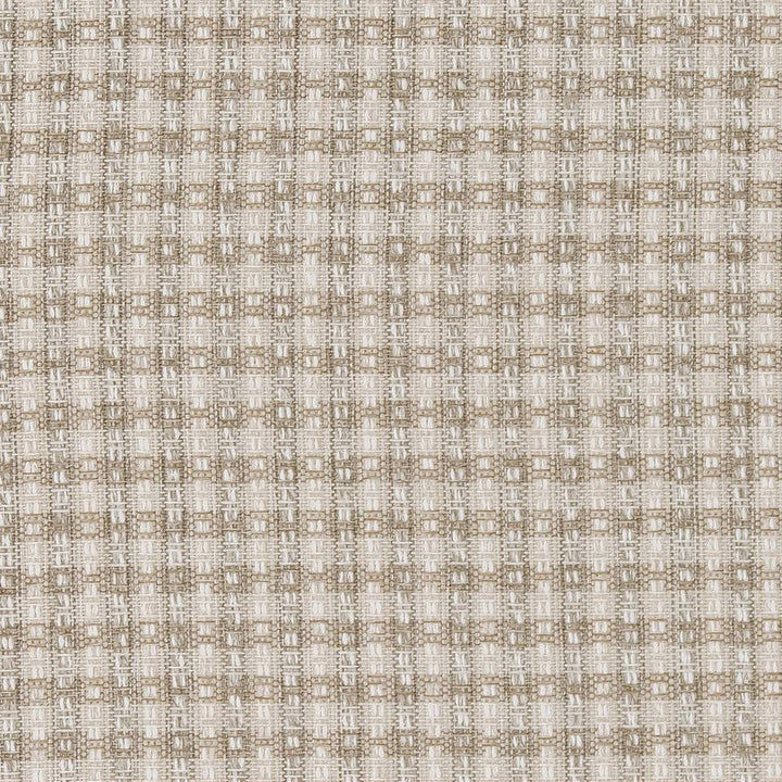 R432 Oyster by Charlotte Designer Fabric Ring Book Page #6B 100% Polypropylene Made In USA Exceeds 60,000 Wyzenbeek Rubs (Heavy Duty) </p><p>Repeat: 54 Inches - Swanky Fabrics -