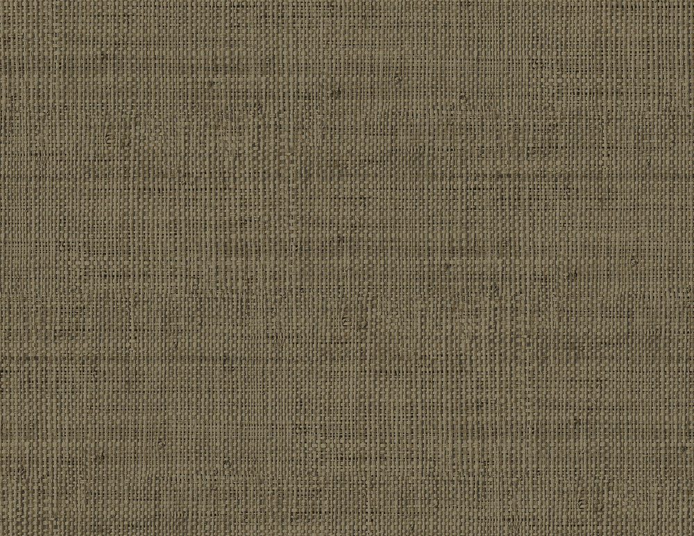 Wild Bind Coffee RA40316 by Seabrook Designs Designer Wallpaper