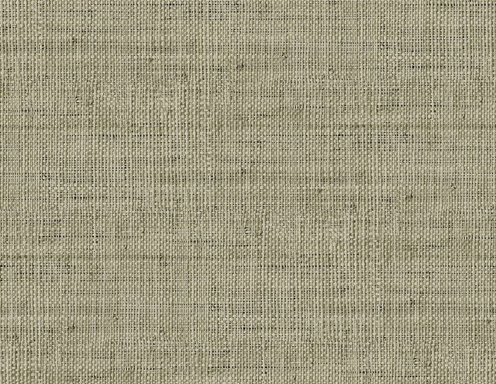 Wild Bind Taupe RA40317 by Seabrook Designs Designer Wallpaper