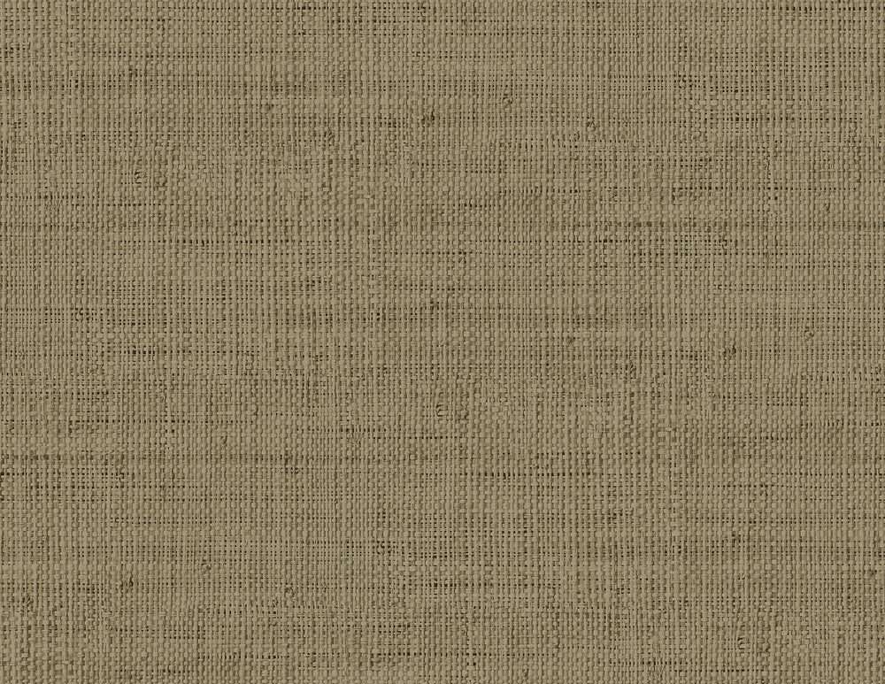 Wild Bind Cafe Latte RA40350 by Seabrook Designs Designer Wallpaper