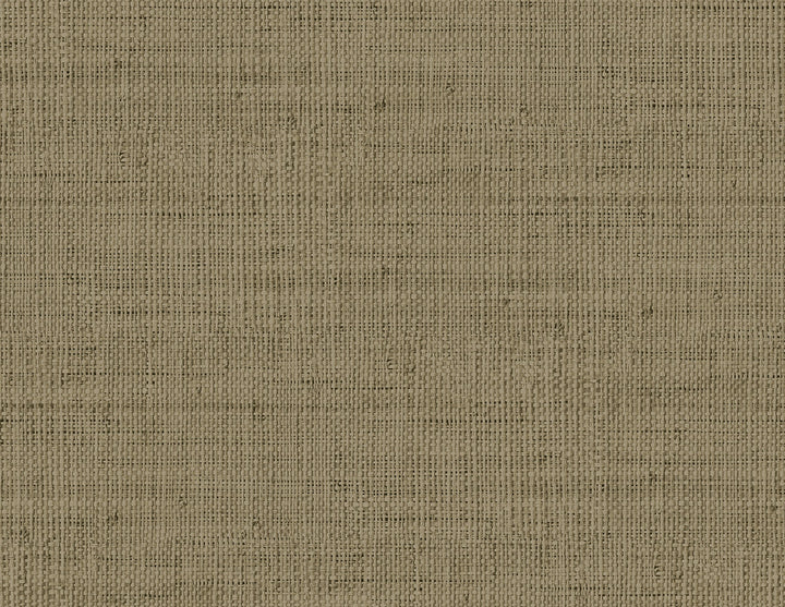Wild Bind Cafe Latte RA40350 by Seabrook Designs Designer Wallpaper