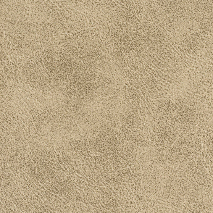Radnor 1 Toffee by Stout Designer Fabric LEATHER LOOKS IV 100%POL CHINA PERFORMANCE RATED FABRIC FLAME RETARDANT-U.F.A.C. CLASS 1 FLAME RETARDANT-N.F.P.A. 260A CLASS 1 CATB 117-2013 WYZENBEEK 100 000 DOUBLE RUB WEAR TEST (HEAVY DUTY) Horizontal: 0 and Vertical: 0 54 in - Swanky Fabrics -