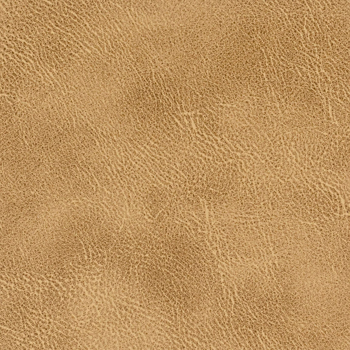 Radnor 4 Acorn by Stout Designer Fabric LEATHER LOOKS IV 100%POL CHINA PERFORMANCE RATED FABRIC FLAME RETARDANT-U.F.A.C. CLASS 1 FLAME RETARDANT-N.F.P.A. 260A CLASS 1 CATB 117-2013 WYZENBEEK 100 000 DOUBLE RUB WEAR TEST (HEAVY DUTY) Horizontal: 0 and Vertical: 0 54 in - Swanky Fabrics -