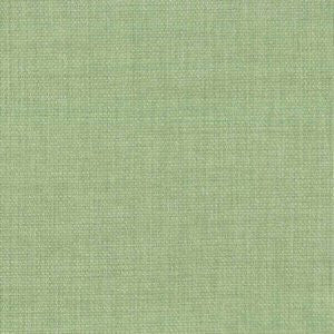 Rally Palm by Norbar Designer Fabric ATRIUM 100% POLYESTER WITH ACRYLIC S. KOREA 55 - Swanky Fabrics -
