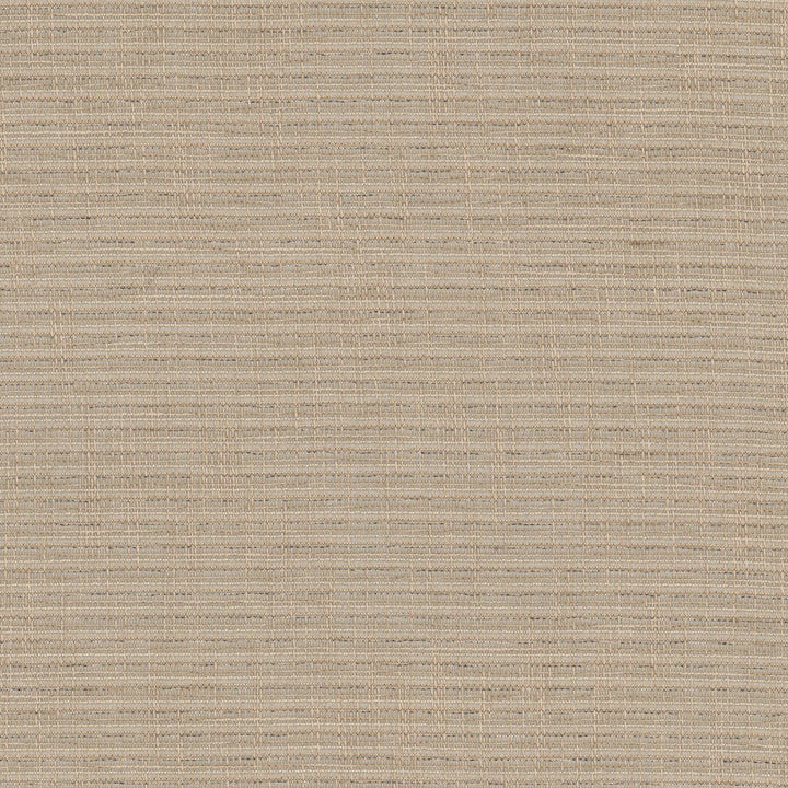 Ralphie 1 Driftwood by Stout Fabric Stout Fabric Ralphie 1 DriftwoodFabric COLOR MY WINDOW PEWTER/TAUPE 100%POL TURKEY </p><p>Repeat: H: 0.000, V: 0.000 54 in - Fabric Carolina -