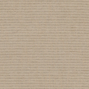 Ralphie 1 Driftwood by Stout Designer Fabric