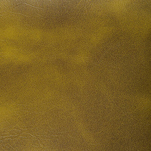 Rambler Cactus RAMBLER.130.0 By Kravet Contract Designer Fabric