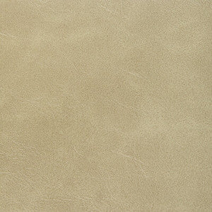 Rambler Prairie RAMBLER.16.0 By Kravet Contract Designer Fabric