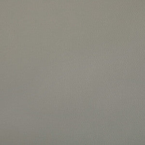 Rand Porcini RAND.11.0 By Kravet Contract Designer Fabric