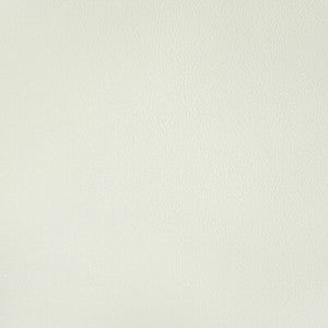 Rand Gesso RAND.1.0 By Kravet Contract Designer Fabric