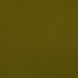 Rand Wasabi RAND.23.0 By Kravet Contract Designer Fabric